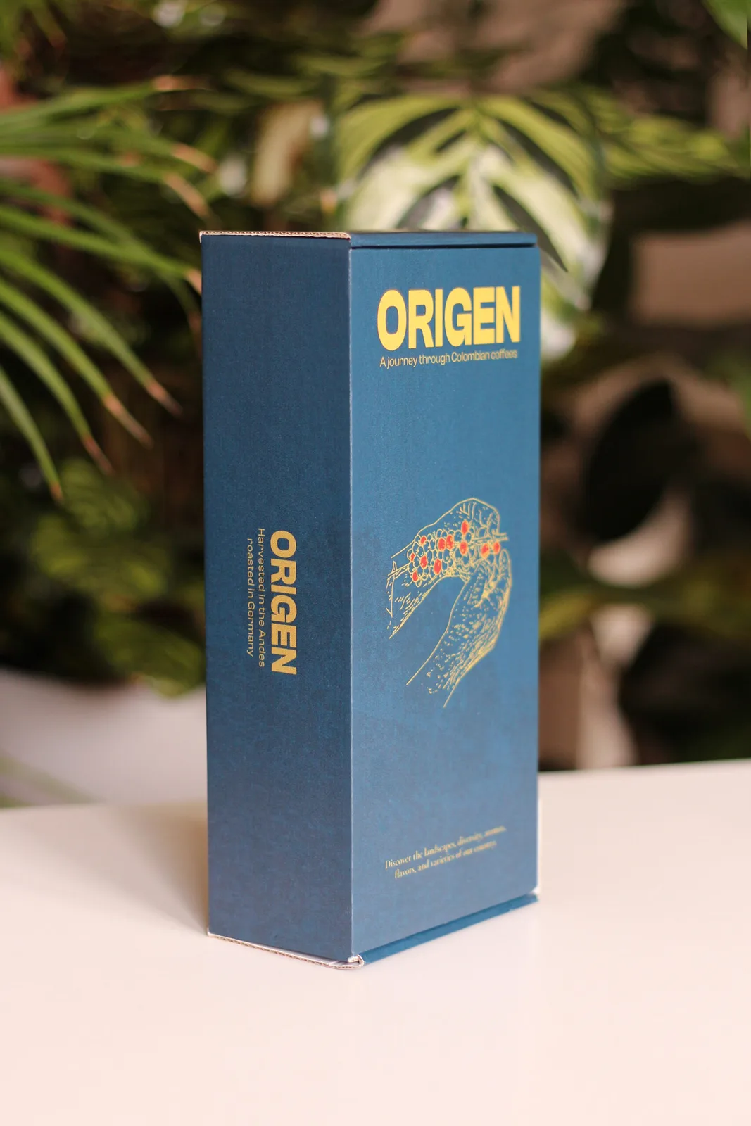 ORIGEN — A Journey through Colombian Coffees